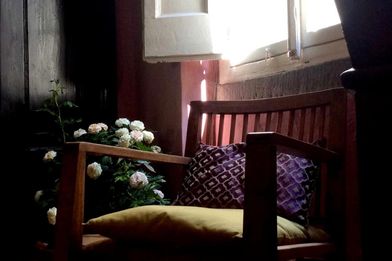 Lo Studio B&B Pistoia Exteriér fotografie
